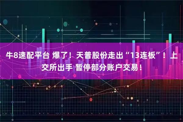 牛8速配平台 爆了！天普股份走出“13连板”！上交所出手 暂停部分账户交易！