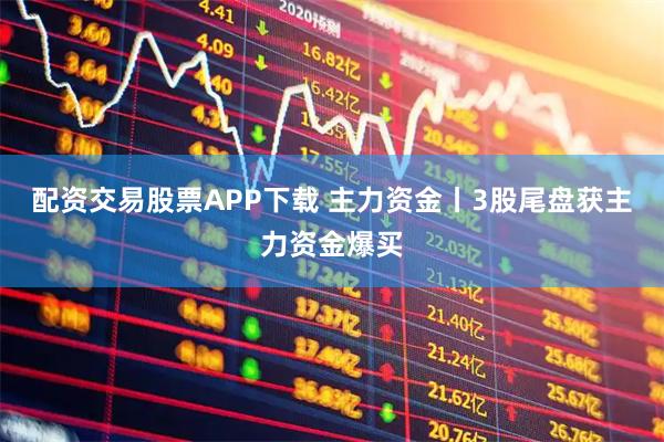 配资交易股票APP下载 主力资金丨3股尾盘获主力资金爆买