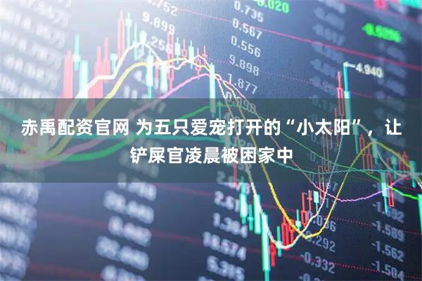 赤禹配资官网 为五只爱宠打开的“小太阳”，让铲屎官凌晨被困家中