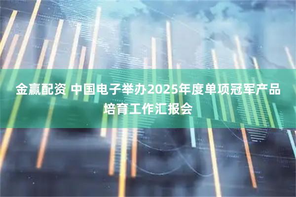 金赢配资 中国电子举办2025年度单项冠军产品培育工作汇报会