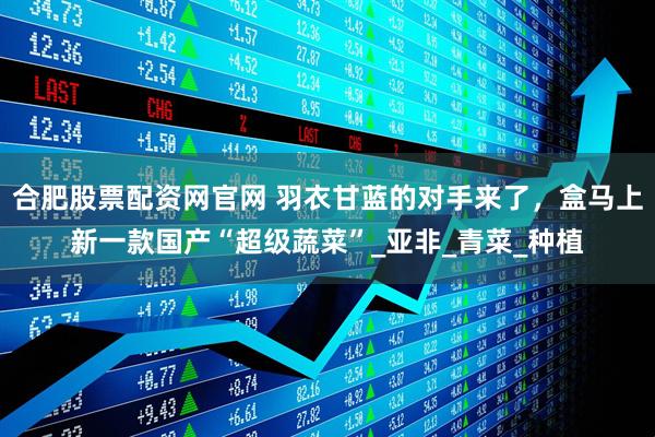 合肥股票配资网官网 羽衣甘蓝的对手来了，盒马上新一款国产“超级蔬菜”_亚非_青菜_种植
