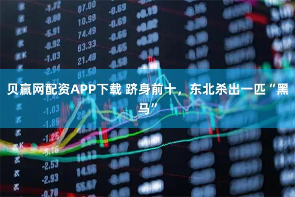 贝赢网配资APP下载 跻身前十，东北杀出一匹“黑马”