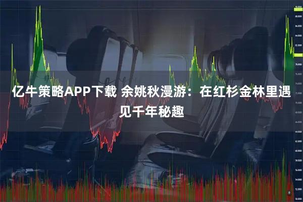 亿牛策略APP下载 余姚秋漫游：在红杉金林里遇见千年秘趣
